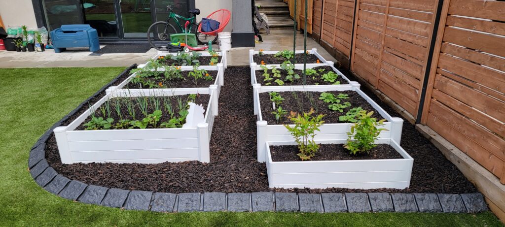 A Garden With Plants