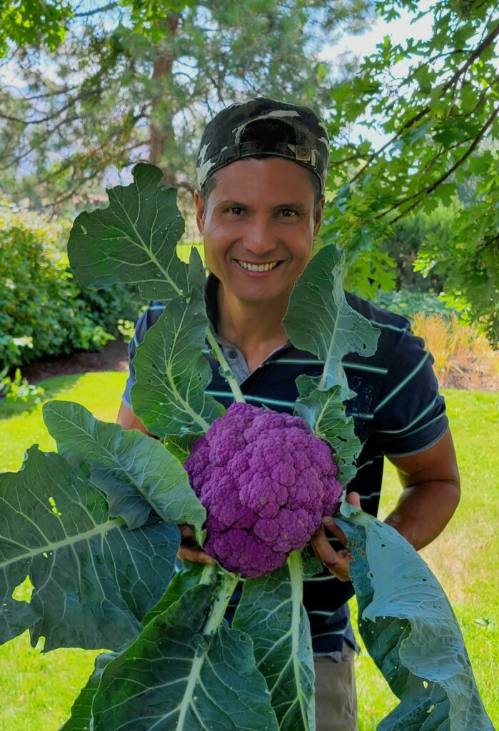 Person Holding a Purple Cauliflower