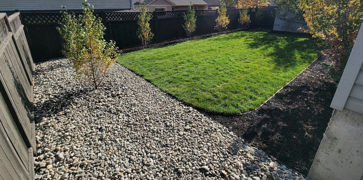 Back Garden After Work